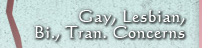 Gay, Lesbian, Bi., Tran. Concerns - Counseling and Therapy